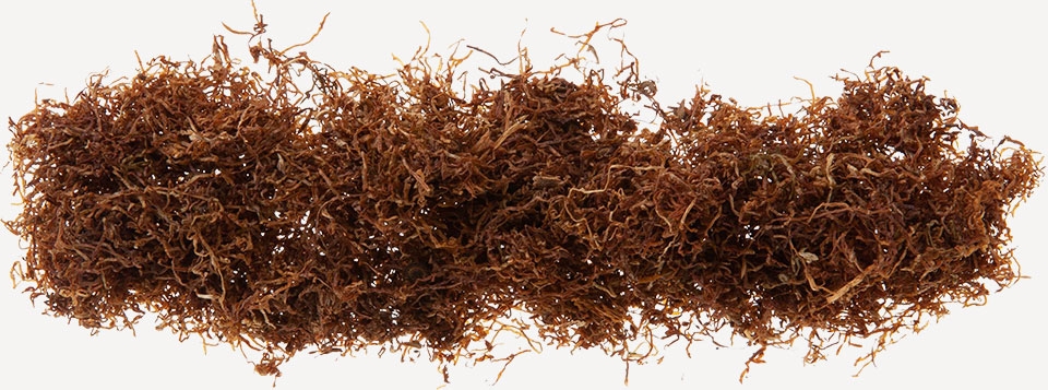 马坝浓情手卷丝40gmacbarenchoicepassion